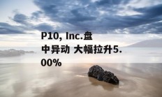 P10, Inc.盘中异动 大幅拉升5.00%