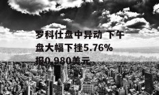 罗科仕盘中异动 下午盘大幅下挫5.76%报0.980美元